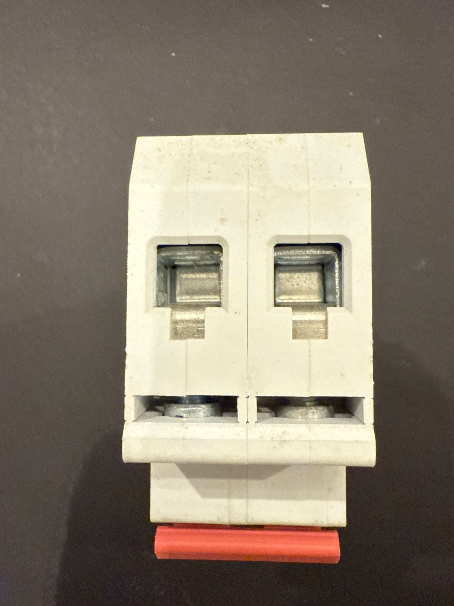 BG Electrical 100A DP Main Switch CUSW100 (2 Pole)