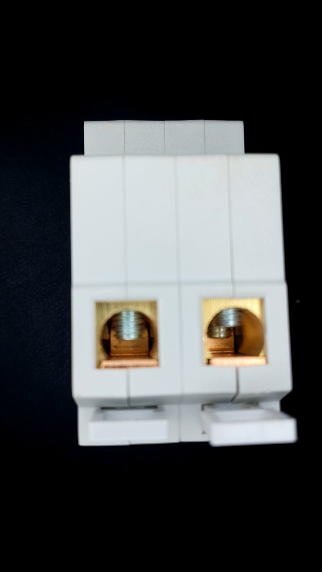 Wylex WS102-TTB 100A Double Pole Switch