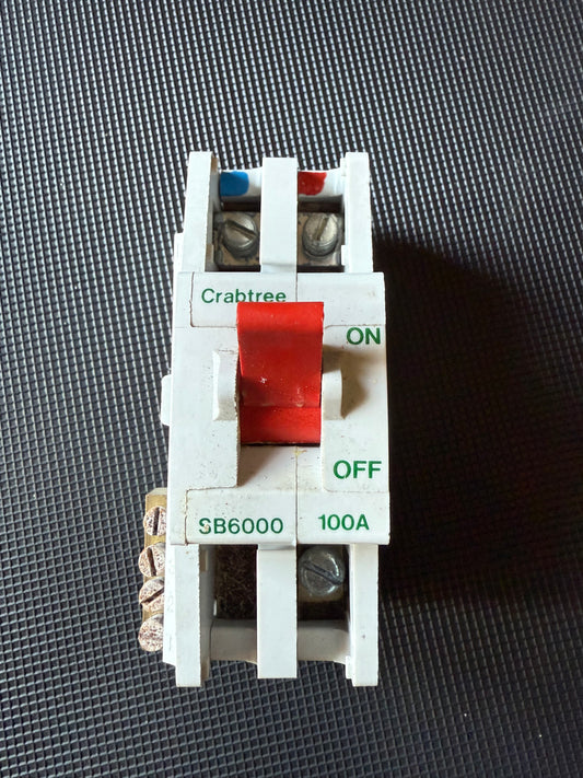 Crabtree SB6000 100A 2 Pole Main Switch 240V BS 5419