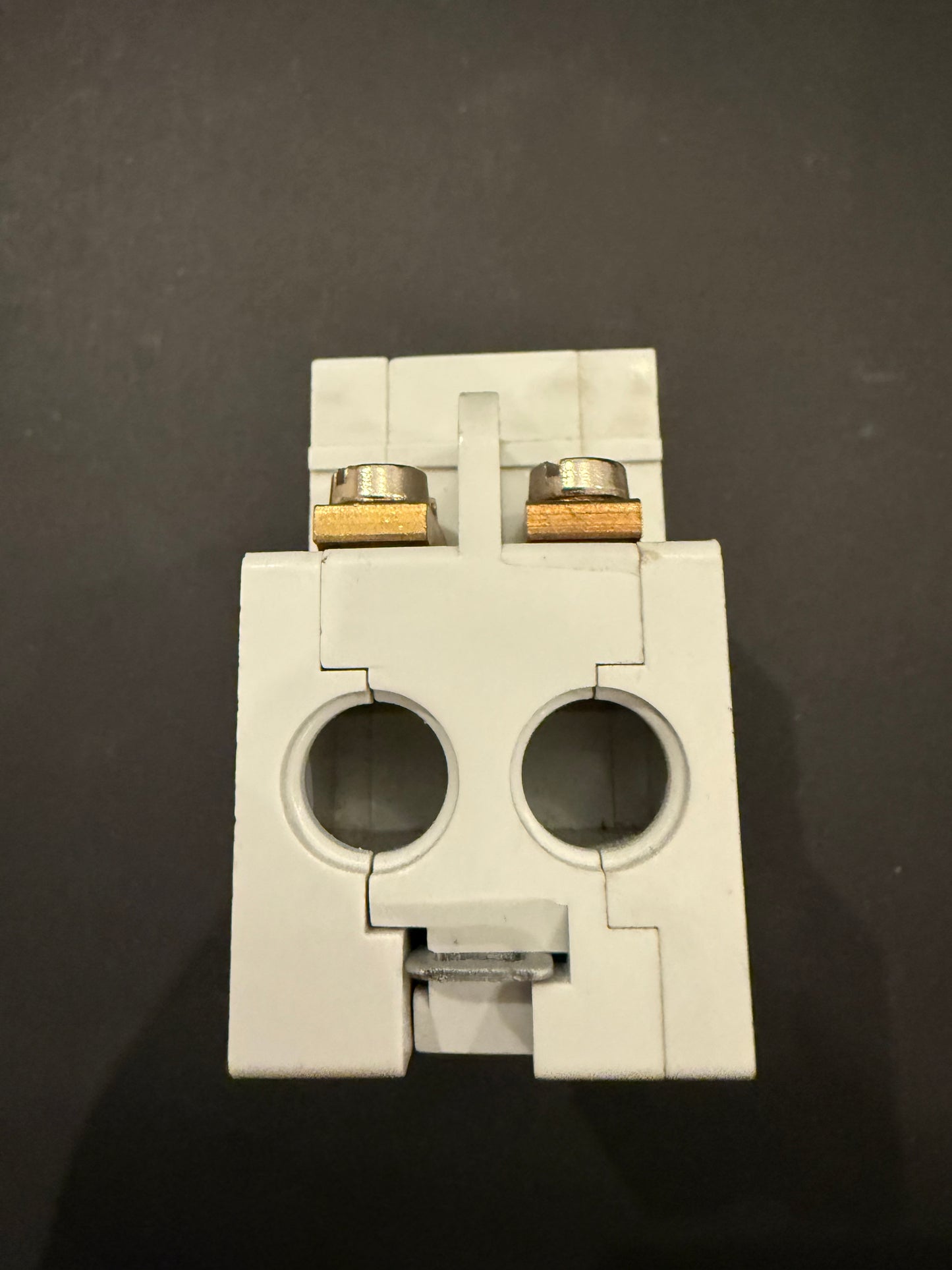 MK 60A Main Breaker Double 2 Pole Isolator (LN5560)