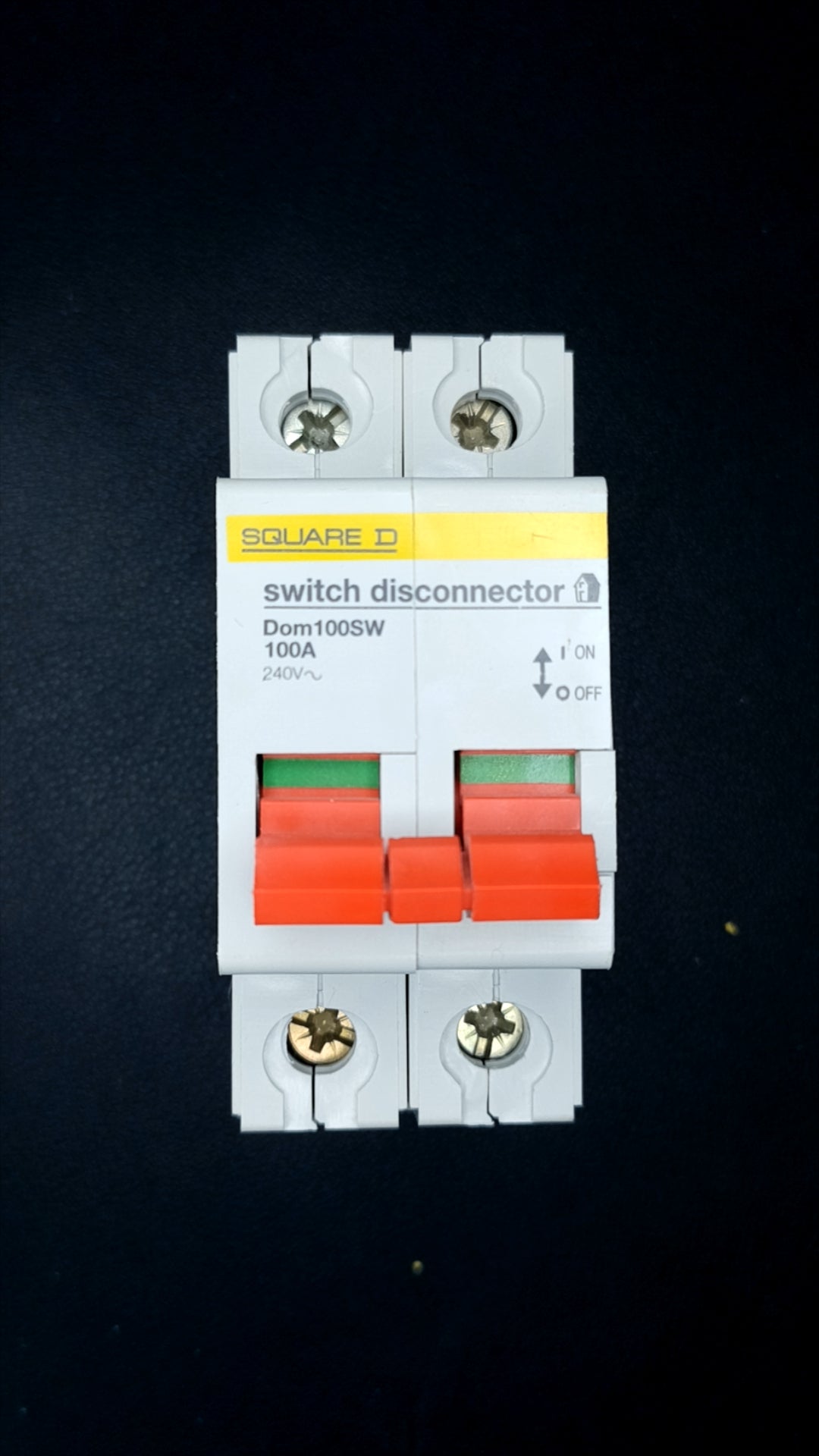 Dom100SW 100A (2-Pole)